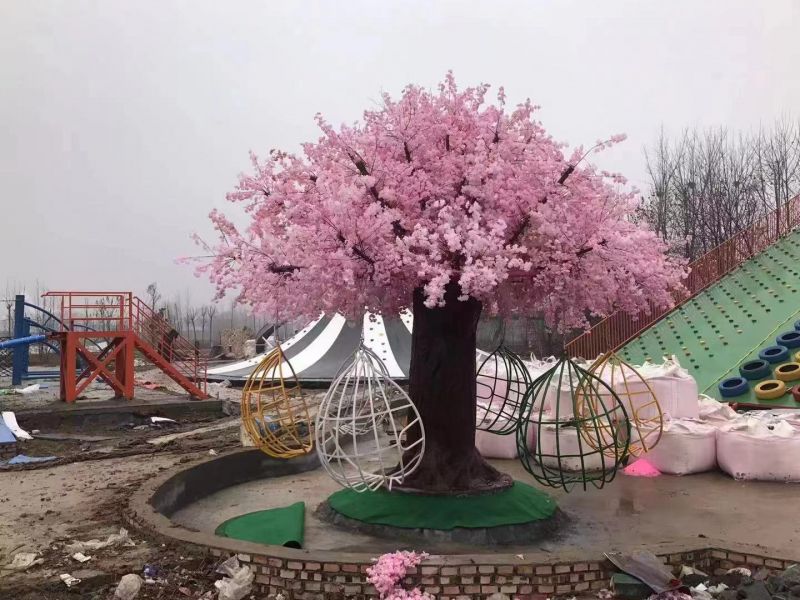 網紅櫻花樹